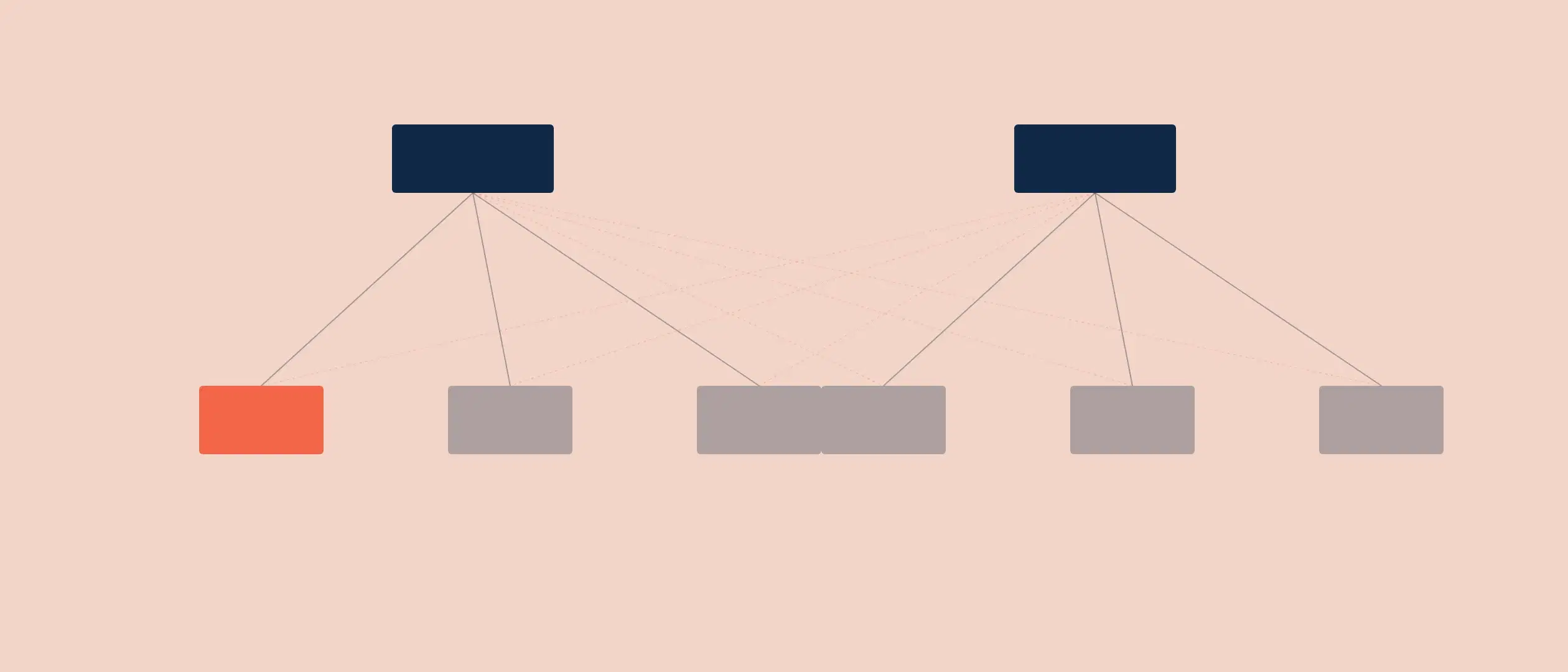 An Understanding of Company Structure—Coevera Concepts