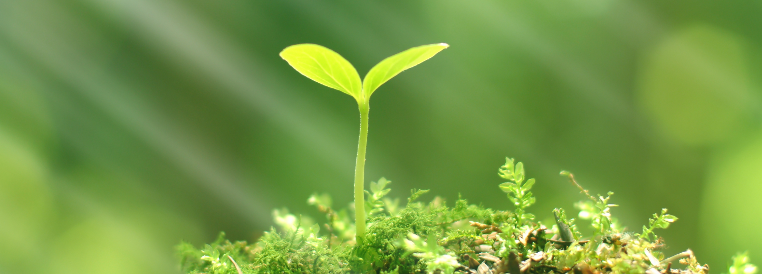 Coevera philanthropy we care