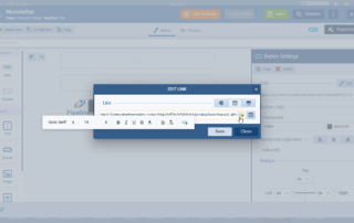 screenshot-5-15-0-WYSIWYG-Email-Editor-002-rn-1900