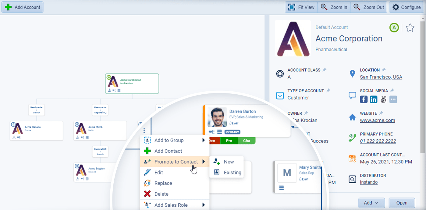 account-management-screenshots-solo-analyze-your-accounts-in-your-crm-1521 Analyze Your Accounts in your CRM