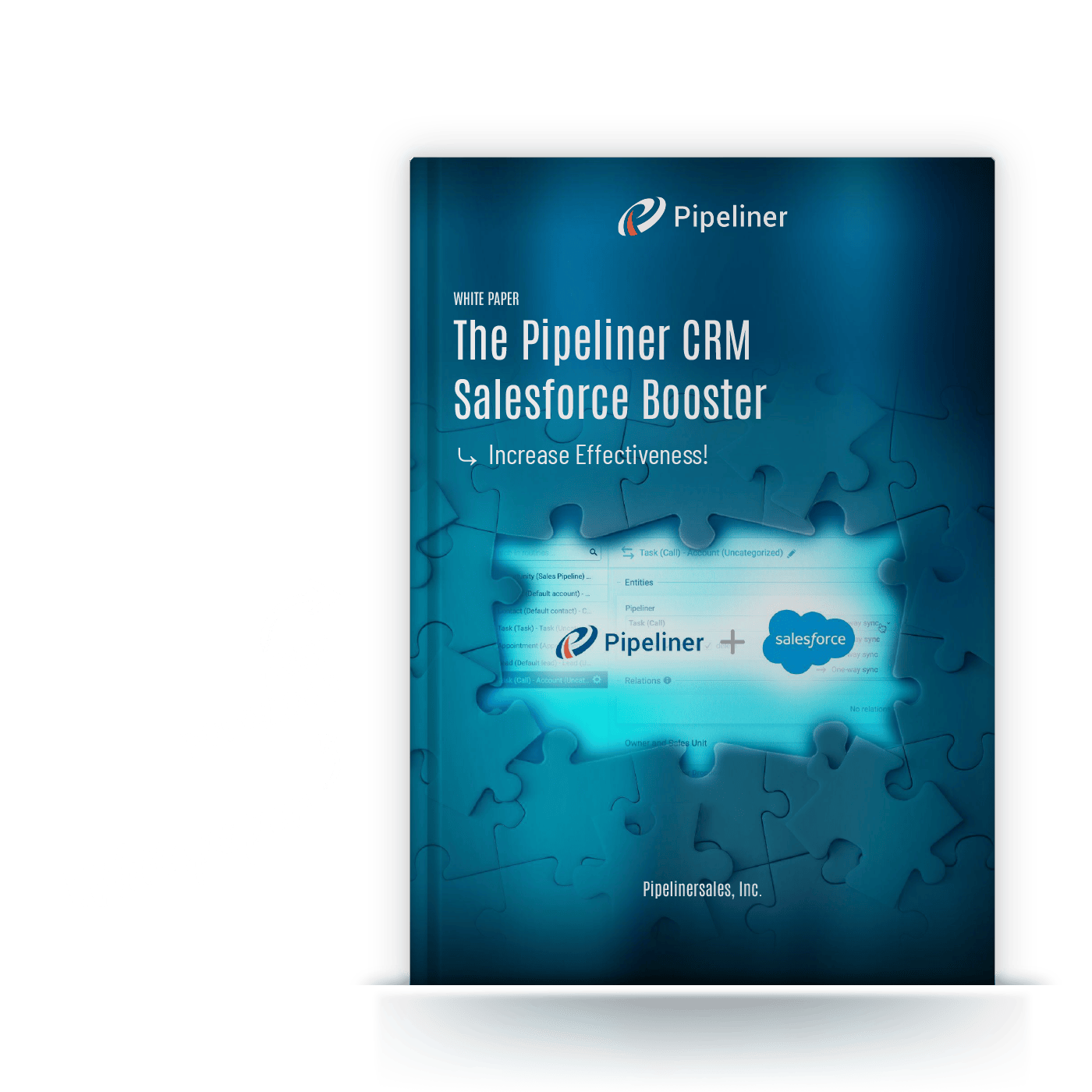 Coevera Salesforce booster whitepaper
